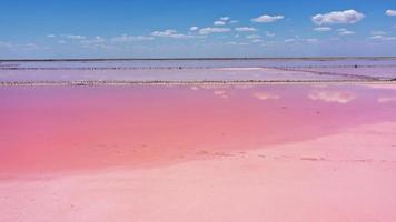 luchtfoto drone top-down foto van een natuurlijk roze meer en blauwe lucht kuyalnik in odessa, oekraïne. meer wordt van nature roze door zouten en kleine schaaldierenartemia in het water. dit wonder is zeldzaam