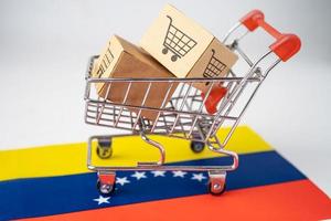 doos met winkelwagenlogo en vlag van venezuela, import export winkelen online of e-commerce financiën bezorgservice winkel product verzending, handel, leveranciersconcept.