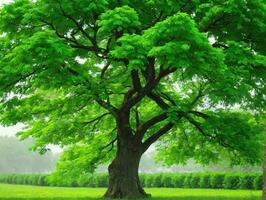 een groot groen boom zittend Aan top van een weelderig groen veld. ai gegenereerd foto