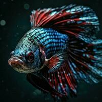 fotograaf van een betta vis in aquarium gegenereerd door ai foto