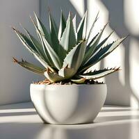 agave fabriek in een pot. generatief ai foto