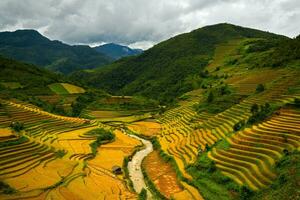 terrasvormig rijst- velden in mu cang chai, yen bai, Vietnam foto