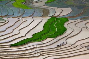 terrasvormig rijst- velden in mu cang chai, yen bai, Vietnam foto