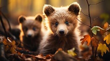 twee bruin beer in de Woud omhoog dichtbij. dieren in het wild tafereel van voorjaar natuur, ai generatief foto