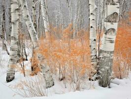 minimalistische winter landschap samenstelling ai generatief foto