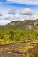 panorama met sparren en bergen natuur landschap nissedal noorwegen. foto