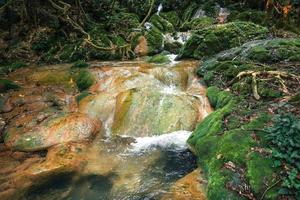 waterval en mos in tropische natuur foto