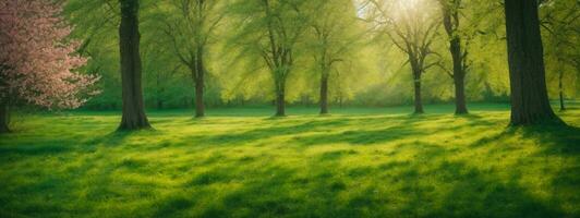 voorjaar natuur. mooi landschap. groen gras en bomen. ai gegenereerd foto