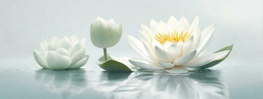zen bloem lotus in water. ai gegenereerd foto