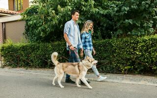 jong elegant paar wandelen met hond in straat, Mens en vrouw gelukkig samen foto