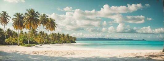 mooi tropisch strand spandoek. wit zand en kokosnoot palmen reizen toerisme breed panorama achtergrond concept. verbazingwekkend strand landschap. ai gegenereerd foto