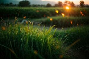 groen gras met zonsondergang keer bekeken.. ai gegenereerd foto