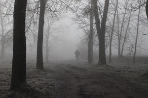 eenzame voorbijganger in een mistig herfstpark. de weg naar het onbekende. mystieke landschap. foto