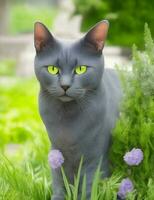 blauw kat met groen ogen in de tuin illustratie foto