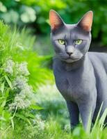 blauw kat met groen ogen in de tuin illustratie foto