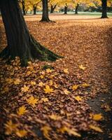 mooi herfst landschap met. kleurrijk gebladerte in de park. vallend bladeren natuurlijk achtergrond. ai gegenereerd foto
