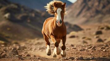 een mini pony paard rennen over- de woestijn foto