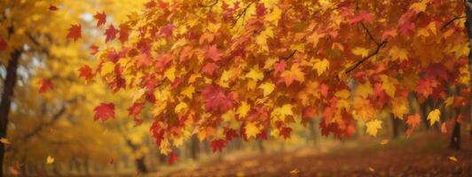 herfst kleurrijk helder bladeren swinging in een boom in herfst- park. herfst kleurrijk achtergrond, vallen achtergrond. ai gegenereerd foto