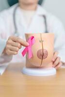 roze oktober borst kanker bewustzijn maand, dokter vrouw met roze lint en borst anatomie model. nationaal kanker overlevenden maand, Gezondheid diagnose, moeder en wereld kanker dag concept foto