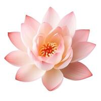 lotus bloem Aan wit achtergrond. generatief ai foto