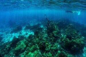 onderwaterscène met koraalrif en vissen. foto