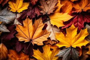 kleurrijk herfst Woud verdieping bladeren achtergrond met leeg ruimte voor tekst foto