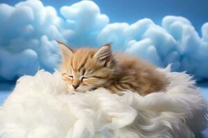 een sluimerend katje gekruld Aan een wolk hoofdkussen geïsoleerd Aan een wit achtergrond foto