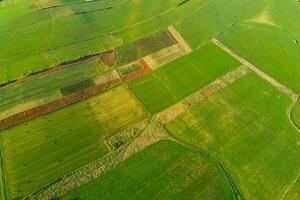 luchtfoto van landbouwvelden foto