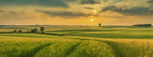 landelijk landschap met tarwe veld- Aan zonsondergang. ai gegenereerd foto