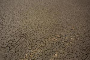 barst in de grond in het droge seizoen, globaal ontwormingseffect foto