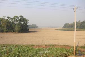 groen veld en grijze lucht foto