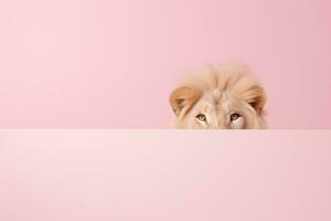 leeuw gluren uit over- een roze achtergrond minimalistische ai generatief foto