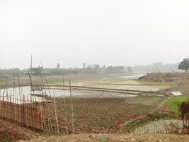 wetlands met natuur in de ochtend foto