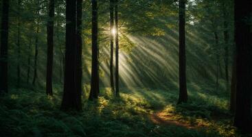 mooi stralen van zonlicht in een groen Woud. ai gegenereerd foto