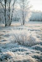 wit hout gedekt met vorst ijzig landschap. ai gegenereerd foto