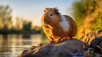 detailopname foto van een cavy op zoek in hun leefgebied. generatief ai