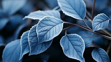 bevroren elegantie vastleggen van de natuur delicaat ijzig details, ai generatief foto