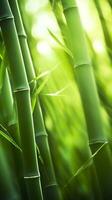 de groen bamboe Woud. een plaats van vrede en kalmte. ai generatief foto