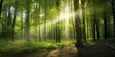 mooi stralen van zonlicht in een groen Woud. generatief ai foto