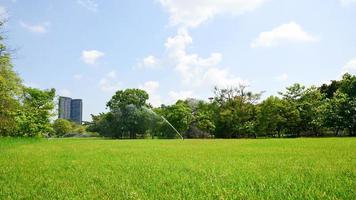 prachtig park en groene boomplant in openbaar park met groen grasveld. foto