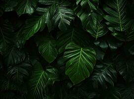 groen natuurlijk palm blad achtergrond foto