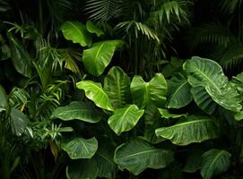 groen natuurlijk palm blad achtergrond foto