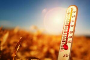 thermometer tegen een zonnig achtergrond, meten de warmte van de zon ai gegenereerd foto