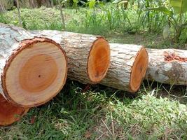 stapel brandhout in bos foto