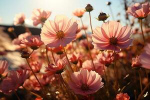 boeiend wilde bloemen Aan een natuurlijk zomer of herfst instelling, website banier ai gegenereerd foto