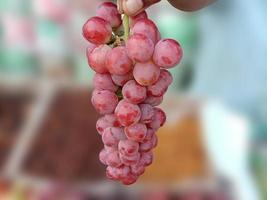 verse en smakelijke en gezonde rode druivenbouillon foto