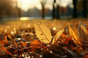 gouden herfst bladeren Aan gras, badend in de zacht ochtend- zonlicht ai gegenereerd foto