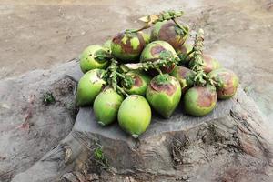 groen gekleurde rauwe kokosbouillon foto