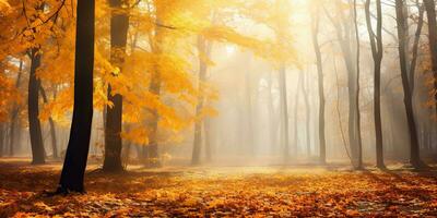 ai gegenereerd. ai generatief. herfst Woud buitenshuis natuur oranje geel park vallen landschap achtergrond. grafisch kunst foto