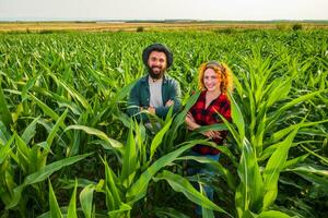 familie agrarisch bezigheid. Mens en vrouw zijn cultiveren maïs. ze zijn tevreden met mooi zo vooruitgang van planten. foto